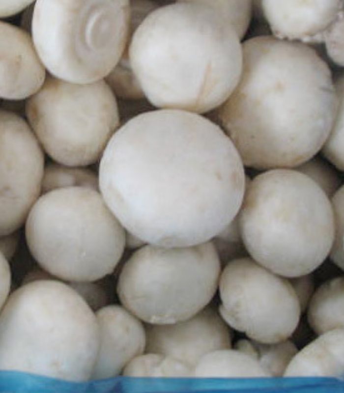 1 - 2026-06-28T213237.497 Champignons (10Kg) - Image 1