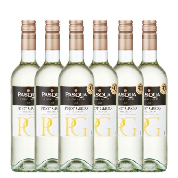 Wein Pinot Veneto(6x0,75L/Karton)