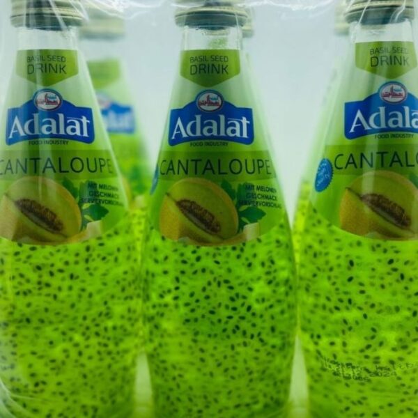 Adalat Cantaloupe Melone 24x280ml inkls. Pfand