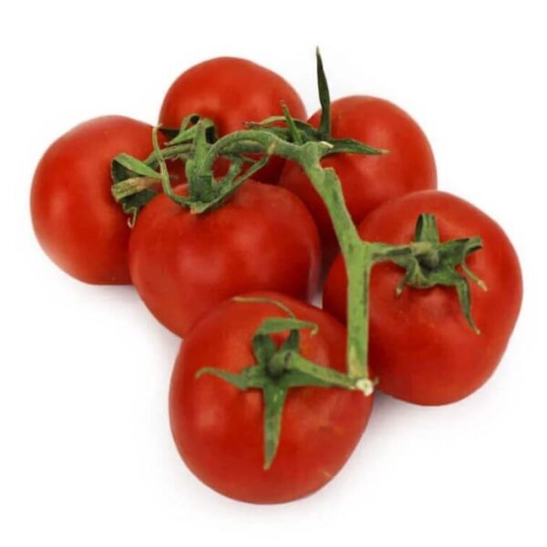Tomaten -Strauchtomaten 5kg