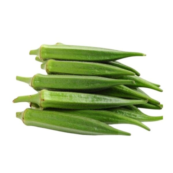 Okra Schoten (Bhindi) frisch