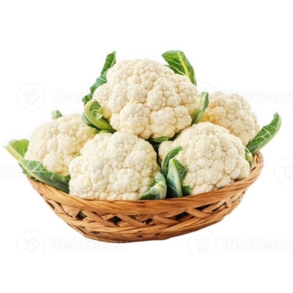 Blumenkohl Frisch