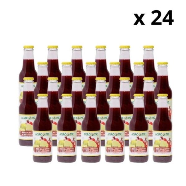Frappi Saft Granatapfel 24x 300ml